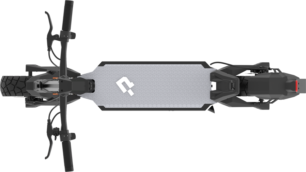 Punk Roamer New