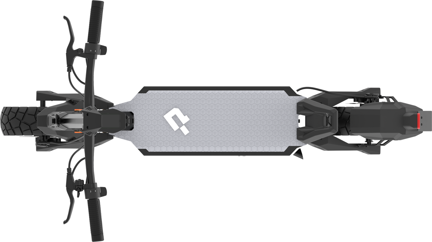 Punk Roamer New
