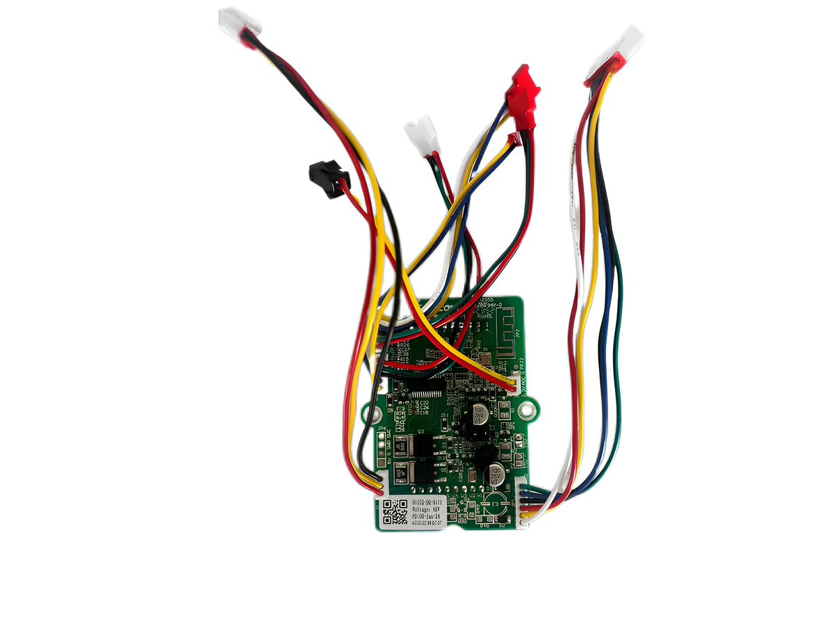 48V Display (Punk Rider only)