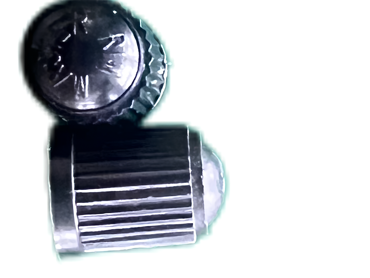 Air valve cover   (For Punk Rider and Punk Rebel models)