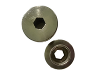 straw hat screw   (For Punk Rider and Punk Rebel models)